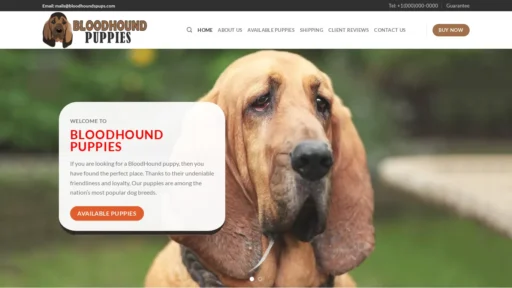 A screenshot of Bloodhoundspups.com