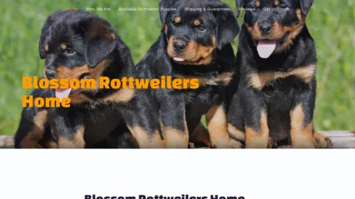 A screenshot of Blossomrottweilershome.com