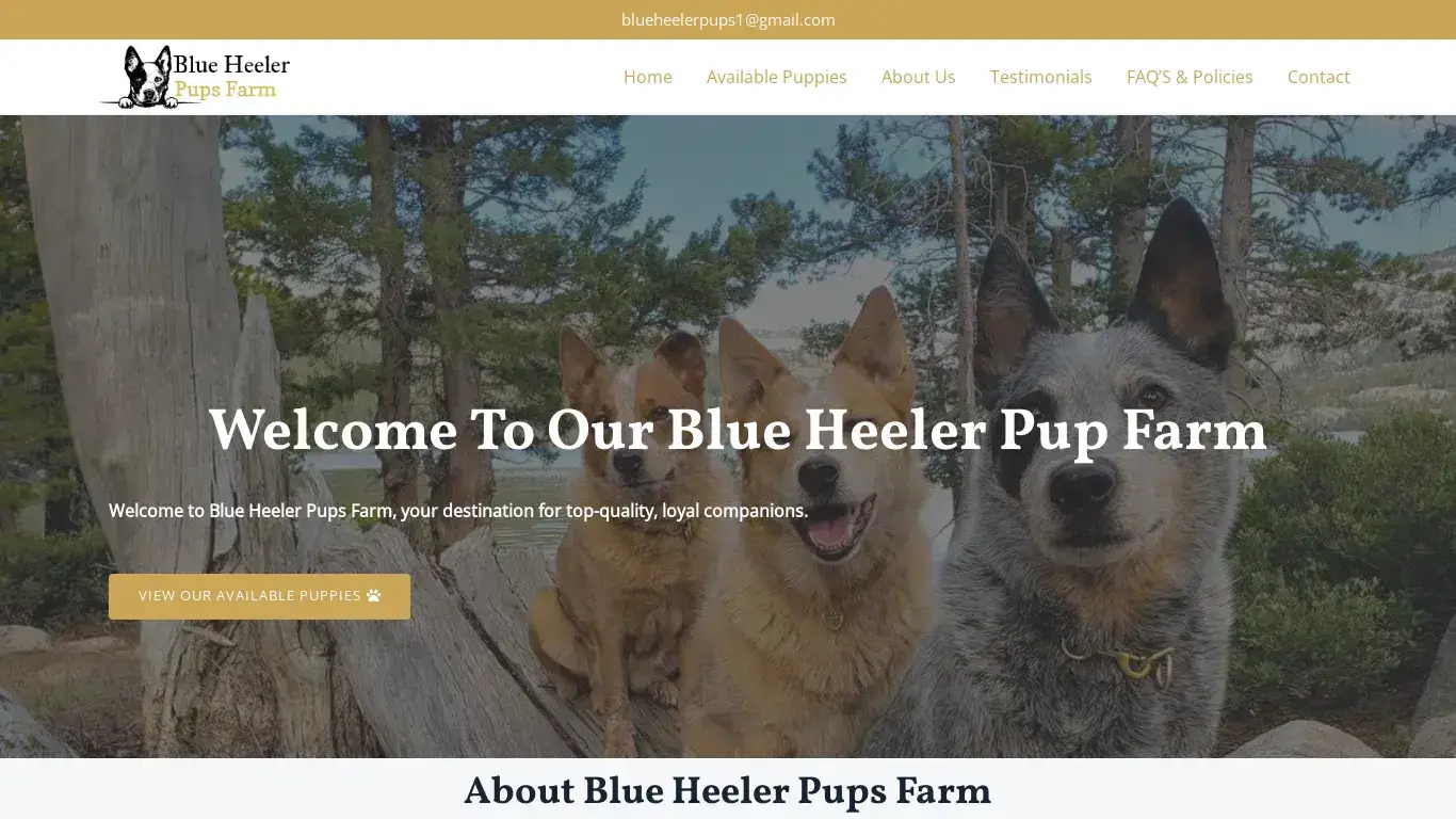 is Blue Heeler Pup Farm – Blue Heeler Puppies For Sale legit? screenshot