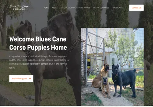 is bluescanecorsopuppies.com legit? screenshot
