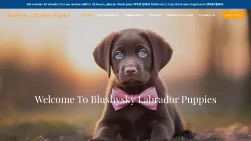 A screenshot of Blushyskylabradorpuppies.com