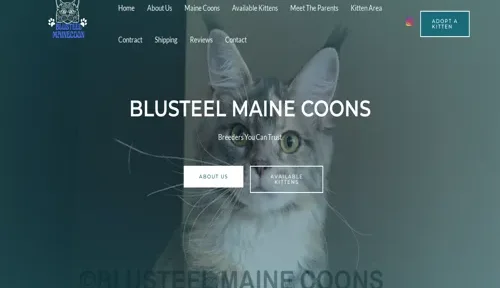 A screenshot of Genlanfamilystbernard.com