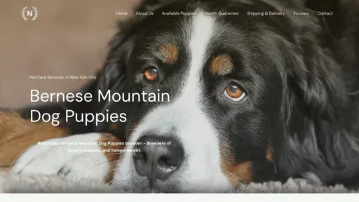 A screenshot of Bmdpuppieshome.com