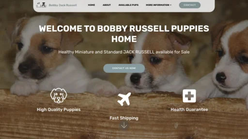 A screenshot of Bobbyjackrussellhome.su