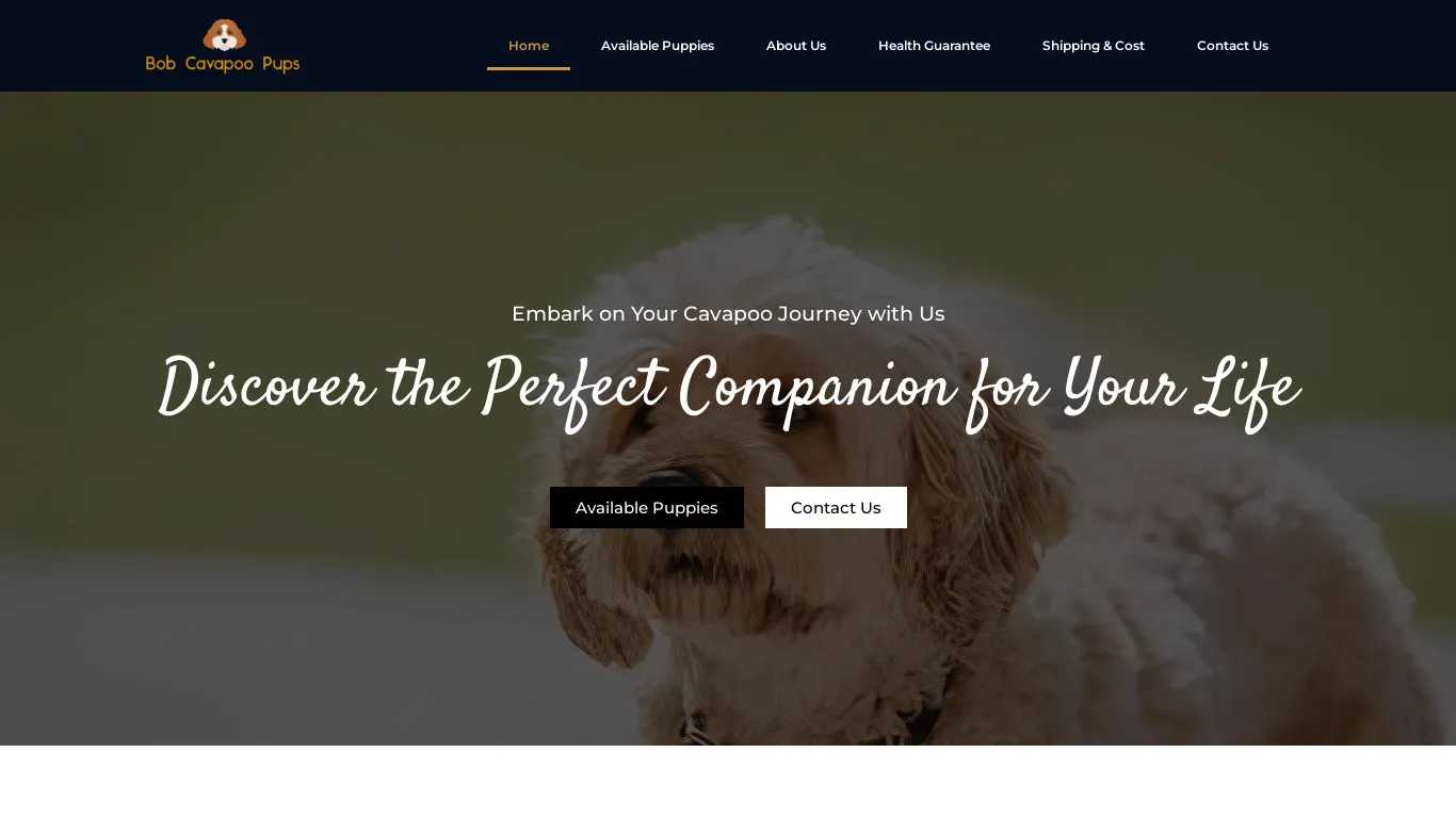 is Bob Cavapoo Pups – Discovery the perfect Companion for your life legit? screenshot