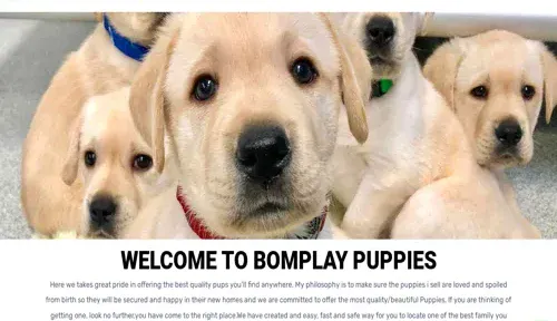 A screenshot of Genlanfamilystbernard.com