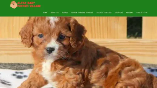 A screenshot of Bongphinepuppievillage.com