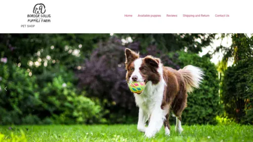 A screenshot of Bordercolliepupiesfarm.com