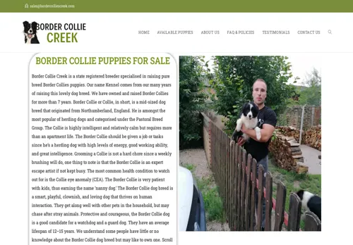 is bordercolliescreek.com legit? screenshot