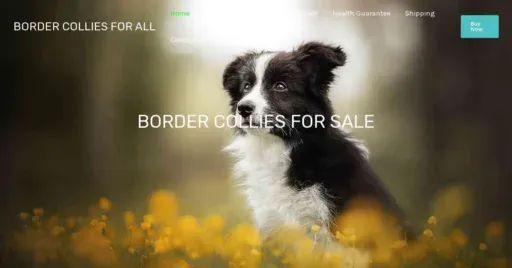 A screenshot of Genlanfamilystbernard.com