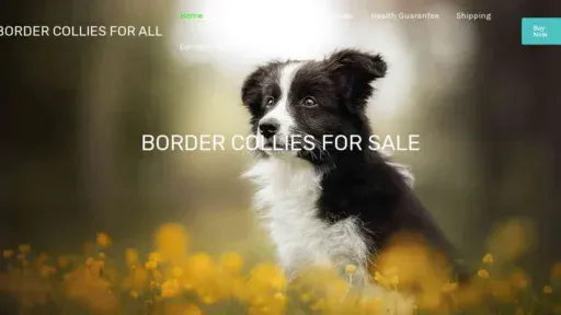 A screenshot of Genlanfamilystbernard.com