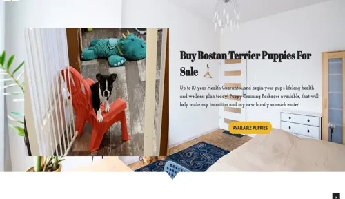 A screenshot of Genlanfamilystbernard.com
