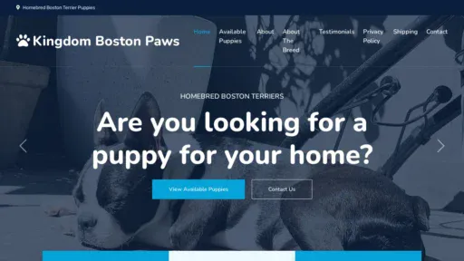 A screenshot of Bostonsparidise.com