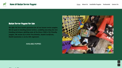 A screenshot of Bostonterrierforsale.org
