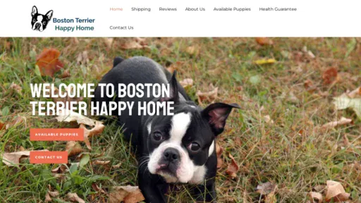 A screenshot of Bostonterrierhappyhome.com