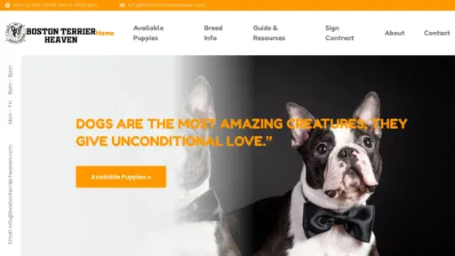 A screenshot of Bostonterrierheaven.com