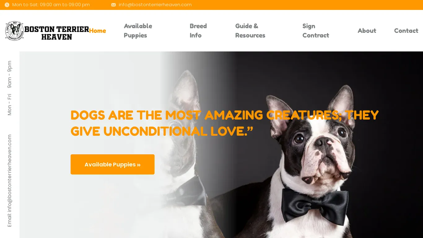 is bostonterrierheaven.com legit? screenshot