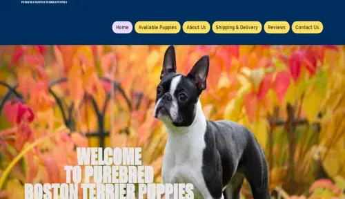 A screenshot of Genlanfamilystbernard.com