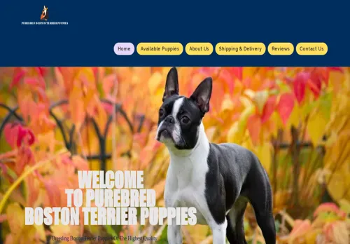 is bostonterrierkings.com legit? screenshot