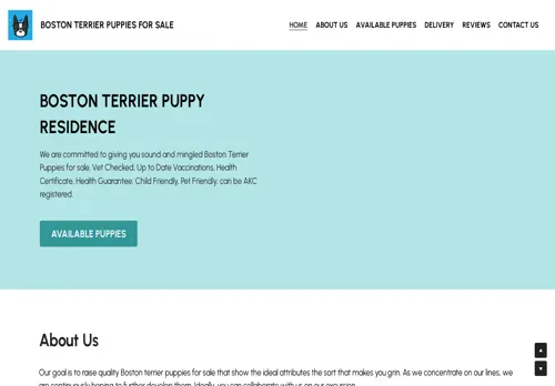 is bostonterrierpuppiesforsale.org legit? screenshot