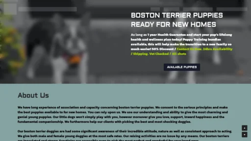 A screenshot of Bostonterriersforsale.net