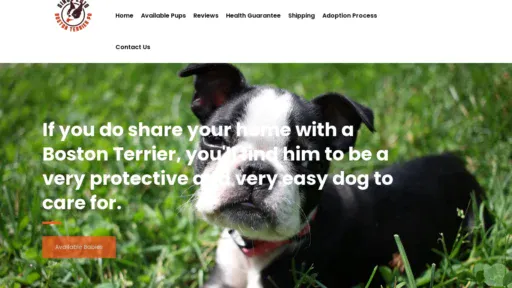 A screenshot of Bostonterrierspa.com