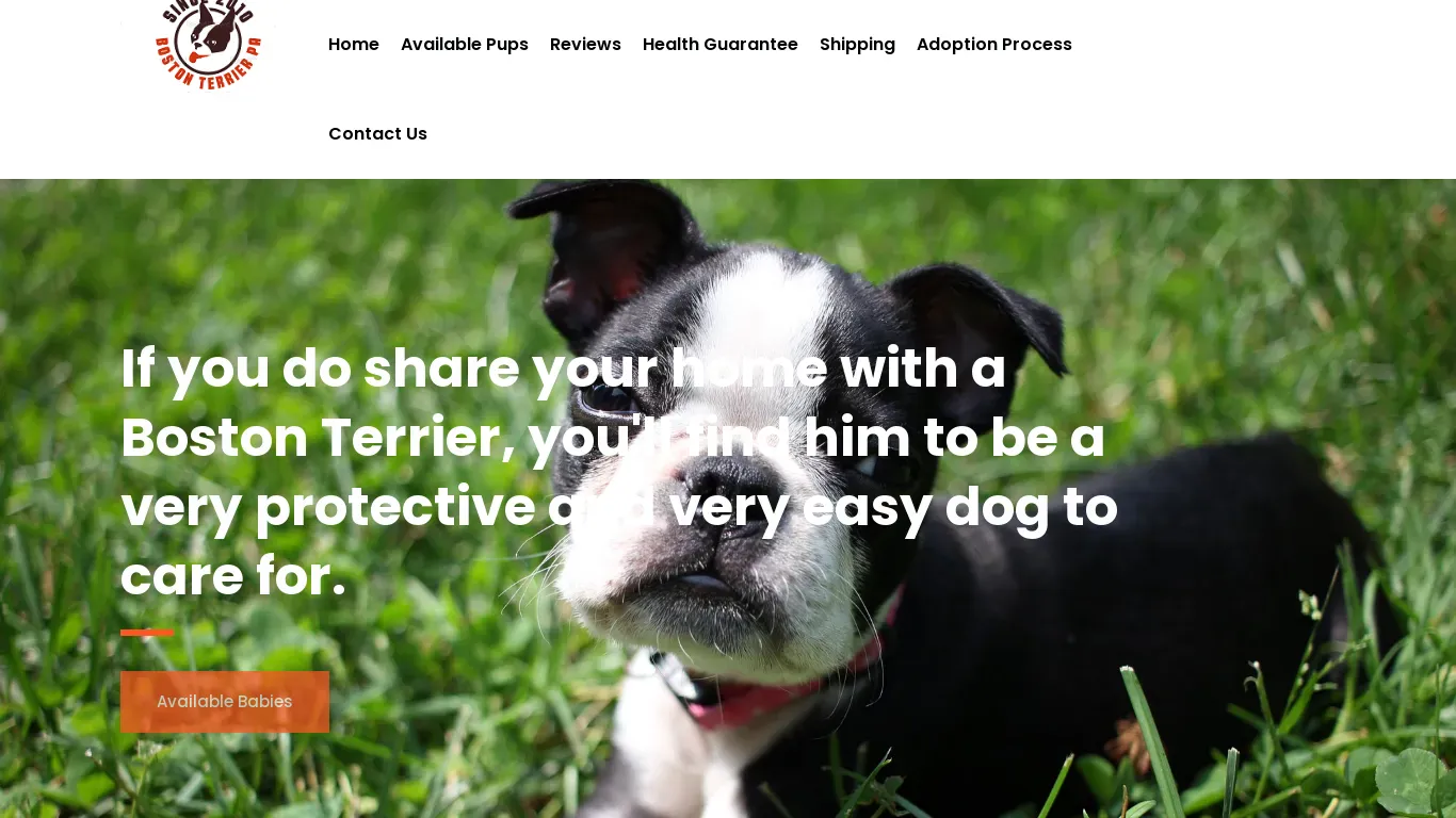 is bostonterrierspa.com legit? screenshot