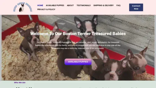 A screenshot of Bostonterriertreasure.com