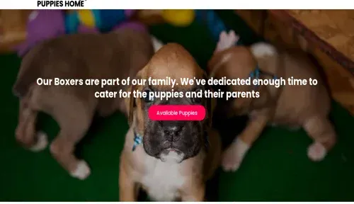 A screenshot of Genlanfamilystbernard.com
