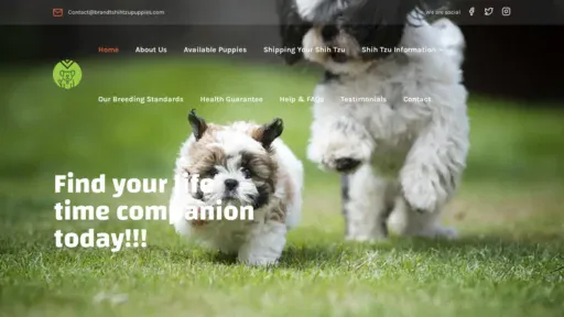 A screenshot of Brandtshihtzupuppies.com