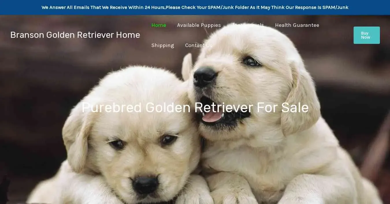 is bransongoldenretrieverhome.com legit? screenshot