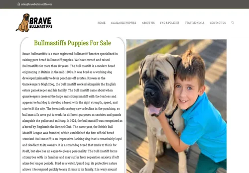 is bravebullmastiffs.com legit? screenshot