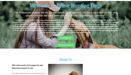 A screenshot of Genlanfamilystbernard.com