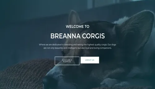 A screenshot of Genlanfamilystbernard.com