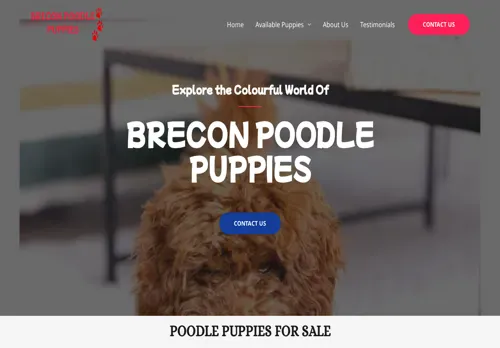 is breconpoodlepuppies.com legit? screenshot