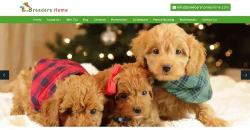 A screenshot of Genlanfamilystbernard.com