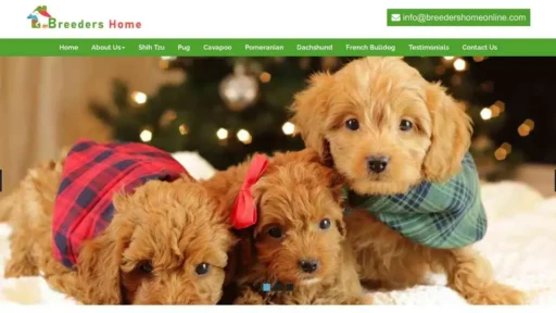 A screenshot of Genlanfamilystbernard.com