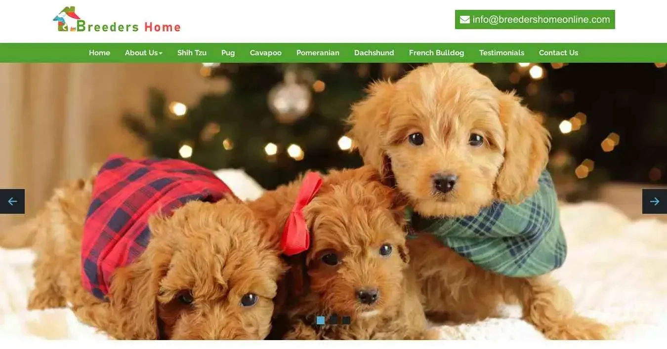 is breedershomeonline.com legit? screenshot