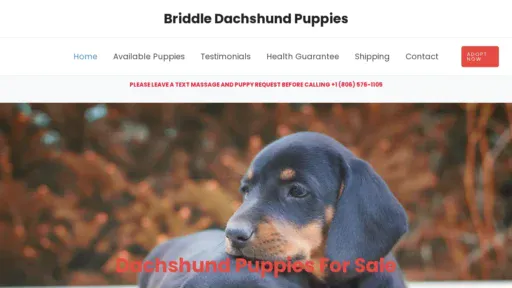 A screenshot of Briddledachshund.com