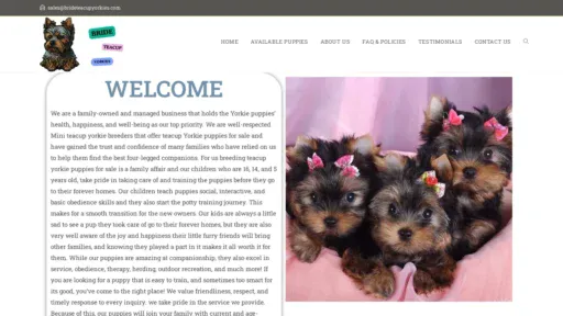 A screenshot of Brideteacupyorkies.com