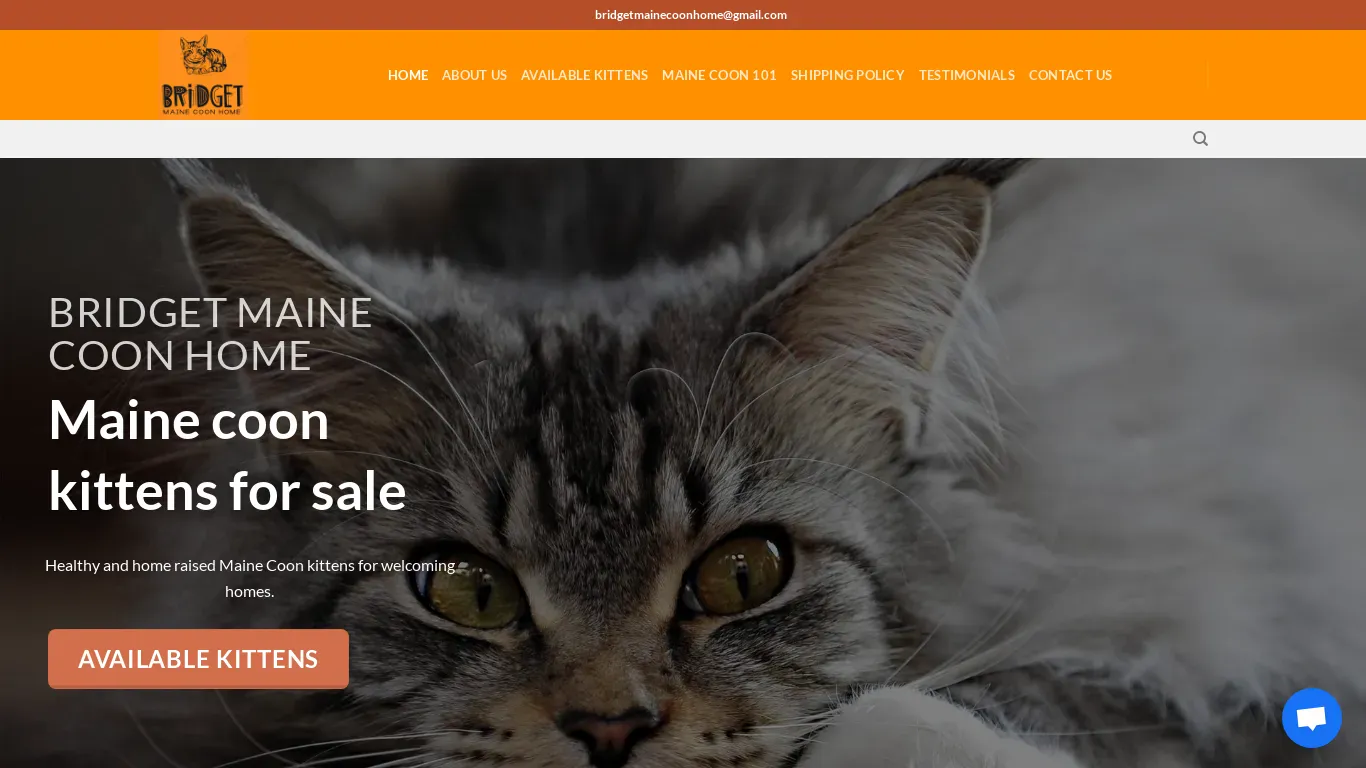 is Bridget Maine coon Home legit? screenshot