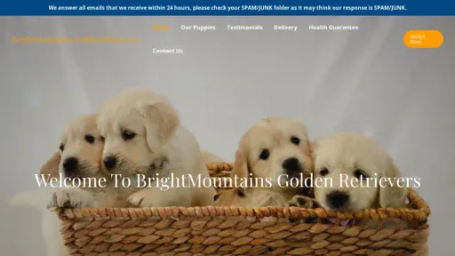 A screenshot of Brightmountainsgoldenretrievers.com