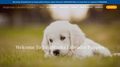 A screenshot of Brightoakslabradorpuppies.com