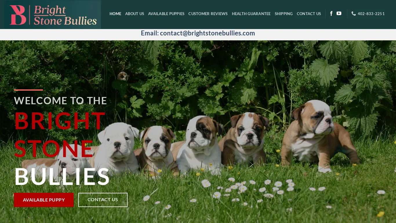 is brightstonebullies.com legit? screenshot