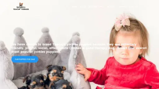 A screenshot of Brightsyorkies.com
