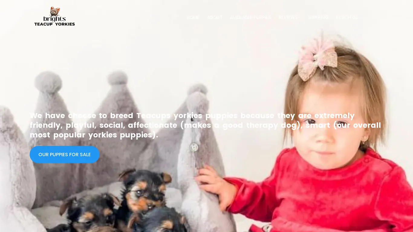 is Welcome –To Teacup Yorkies legit? screenshot