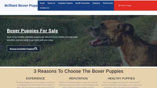 A screenshot of Brilliantboxerpuppies.com