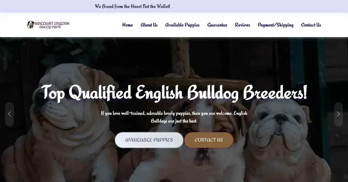 is brilliantenglishbullypup.com legit? screenshot