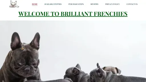 A screenshot of Brilliantfrenchiepup.com