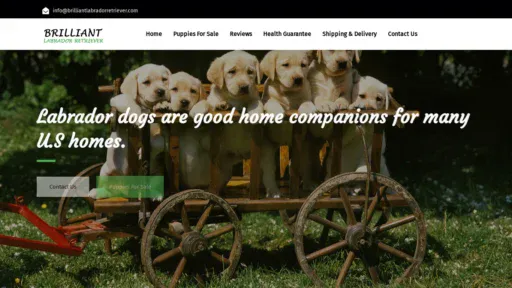 A screenshot of Brilliantlabradorretriever.com